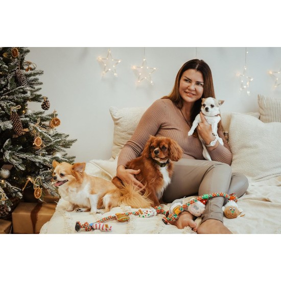Dingo Plush Dog Toy Lead Magic Moment 34 cm Gift for a Dog Christmas Toy with a Squeaker Game with Dog 17478 Dingo Plush Dog Toy Lead Magic Moment 34 cm Gift for a Dog Christmas Toy with a Squeaker Game with Dog 17478