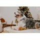 Dingo Plush Dog Toy Penguin Emil 30 cm Gift for a Dog Christmas Toy with a Squeaker Game with Dog 17471