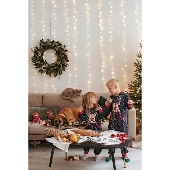 Dingo Plush Dog Toy Penguin Emil 30 cm Gift for a Dog Christmas Toy with a Squeaker Game with Dog 17471 Dingo Plush Dog Toy Penguin Emil 30 cm Gift for a Dog Christmas Toy with a Squeaker Game with Dog 17471