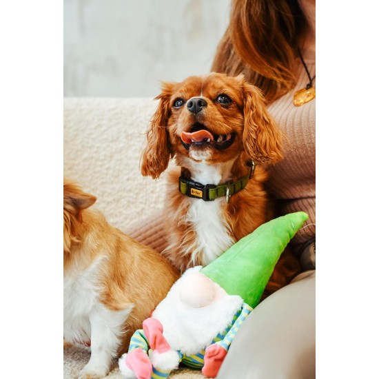 Dingo Plush Dog Toy Penguin Emil 30 cm Gift for a Dog Christmas Toy with a Squeaker Game with Dog 17471 Dingo Plush Dog Toy Penguin Emil 30 cm Gift for a Dog Christmas Toy with a Squeaker Game with Dog 17471