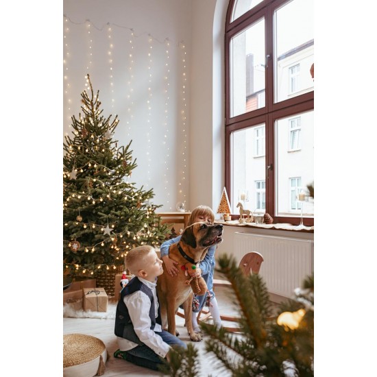 Dingo Plush Dog Toy Penguin Emil 30 cm Gift for a Dog Christmas Toy with a Squeaker Game with Dog 17471 Dingo Plush Dog Toy Penguin Emil 30 cm Gift for a Dog Christmas Toy with a Squeaker Game with Dog 17471