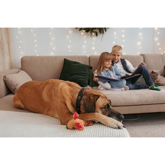 Dingo Plush Dog Toy Penguin Emil 30 cm Gift for a Dog Christmas Toy with a Squeaker Game with Dog 17471 Dingo Plush Dog Toy Penguin Emil 30 cm Gift for a Dog Christmas Toy with a Squeaker Game with Dog 17471