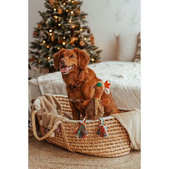 Dingo Plush Dog Toy Penguin Emil 30 cm Gift for a Dog Christmas Toy with a Squeaker Game with Dog 17471 Dingo Plush Dog Toy Penguin Emil 30 cm Gift for a Dog Christmas Toy with a Squeaker Game with Dog 17471