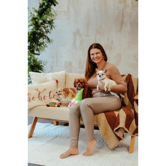 Dingo Plush Dog Toy Penguin Emil 30 cm Gift for a Dog Christmas Toy with a Squeaker Game with Dog 17471 Dingo Plush Dog Toy Penguin Emil 30 cm Gift for a Dog Christmas Toy with a Squeaker Game with Dog 17471