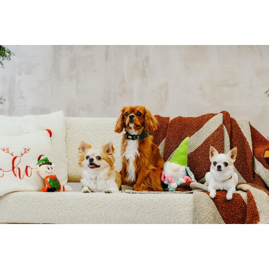 Dingo Plush Dog Toy Penguin Emil 30 cm Gift for a Dog Christmas Toy with a Squeaker Game with Dog 17471 Dingo Plush Dog Toy Penguin Emil 30 cm Gift for a Dog Christmas Toy with a Squeaker Game with Dog 17471