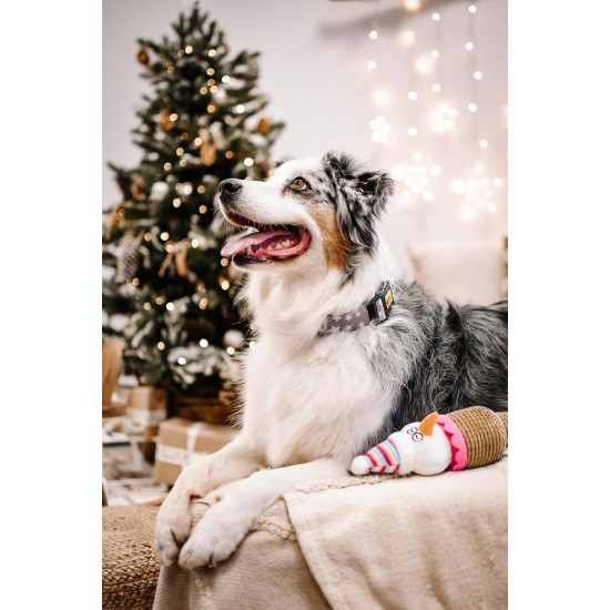 Dingo Plush Dog Toy Penguin Emil 30 cm Gift for a Dog Christmas Toy with a Squeaker Game with Dog 17471 Dingo Plush Dog Toy Penguin Emil 30 cm Gift for a Dog Christmas Toy with a Squeaker Game with Dog 17471