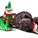 Dingo Plush Dog Toy Penguin Emil 30 cm Gift for a Dog Christmas Toy with a Squeaker Game with Dog 17471