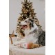 Dingo Plush Dog Toy Penguin Emil 30 cm Gift for a Dog Christmas Toy with a Squeaker Game with Dog 17471
