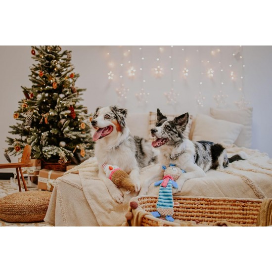 Dingo Plush Dog Toy Penguin Emil 30 cm Gift for a Dog Christmas Toy with a Squeaker Game with Dog 17471 Dingo Plush Dog Toy Penguin Emil 30 cm Gift for a Dog Christmas Toy with a Squeaker Game with Dog 17471