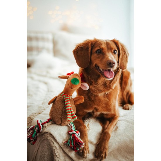 Dingo Plush Dog Toy Reinanimal ALFI 20 cm Gift for a Dog Christmas Toy with a Squeaker Game with Dog 17472 Dingo Plush Dog Toy Reinanimal ALFI 20 cm Gift for a Dog Christmas Toy with a Squeaker Game with Dog 17472