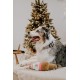 Dingo Plush Dog Toy Reinanimal ALFI 20 cm Gift for a Dog Christmas Toy with a Squeaker Game with Dog 17472 Dingo Plush Dog Toy Reinanimal ALFI 20 cm Gift for a Dog Christmas Toy with a Squeaker Game with Dog 17472