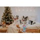 Dingo Plush Dog Toy Reinanimal ALFI 20 cm Gift for a Dog Christmas Toy with a Squeaker Game with Dog 17472 Dingo Plush Dog Toy Reinanimal ALFI 20 cm Gift for a Dog Christmas Toy with a Squeaker Game with Dog 17472
