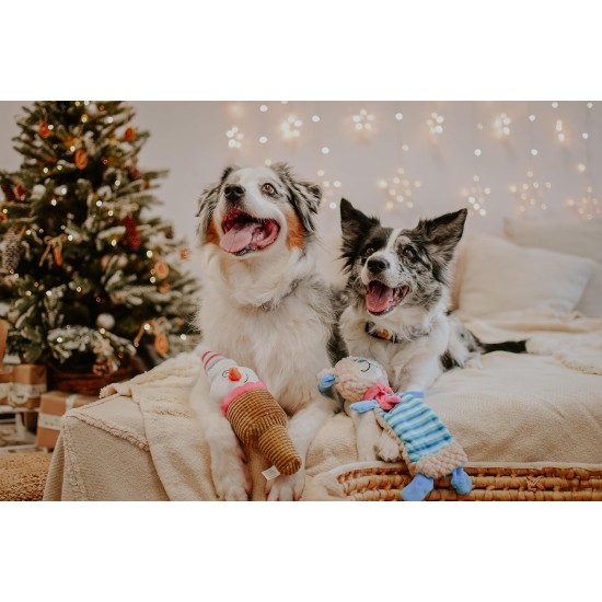 Dingo Plush Dog Toy Reinanimal ALFI 20 cm Gift for a Dog Christmas Toy with a Squeaker Game with Dog 17472 Dingo Plush Dog Toy Reinanimal ALFI 20 cm Gift for a Dog Christmas Toy with a Squeaker Game with Dog 17472