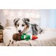 Dingo Plush Dog Toy Reinanimal ALFI 20 cm Gift for a Dog Christmas Toy with a Squeaker Game with Dog 17472 Dingo Plush Dog Toy Reinanimal ALFI 20 cm Gift for a Dog Christmas Toy with a Squeaker Game with Dog 17472