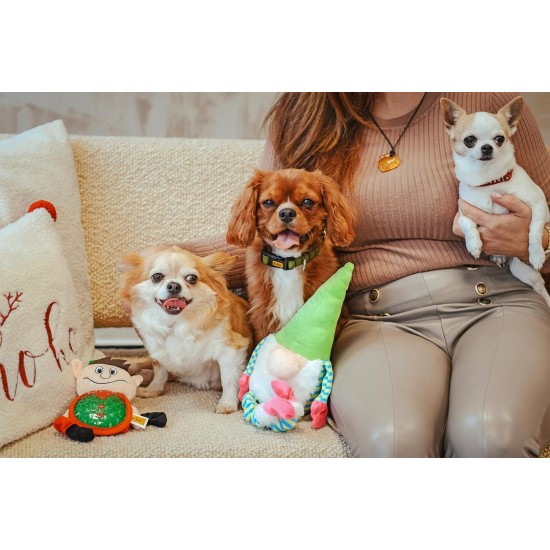 Dingo Plush Dog Toy Reinanimal ALFI 20 cm Gift for a Dog Christmas Toy with a Squeaker Game with Dog 17472 Dingo Plush Dog Toy Reinanimal ALFI 20 cm Gift for a Dog Christmas Toy with a Squeaker Game with Dog 17472