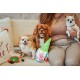 Dingo Plush Dog Toy Reinanimal ALFI 20 cm Gift for a Dog Christmas Toy with a Squeaker Game with Dog 17472 Dingo Plush Dog Toy Reinanimal ALFI 20 cm Gift for a Dog Christmas Toy with a Squeaker Game with Dog 17472