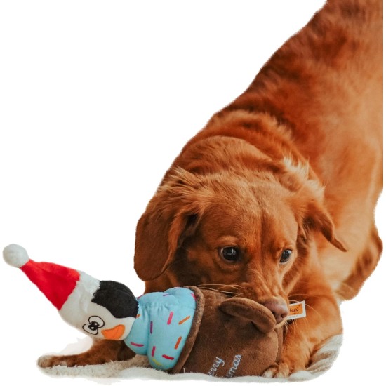 Dingo Plush Dog Toy Reinanimal ALFI 20 cm Gift for a Dog Christmas Toy with a Squeaker Game with Dog 17472 Dingo Plush Dog Toy Reinanimal ALFI 20 cm Gift for a Dog Christmas Toy with a Squeaker Game with Dog 17472