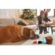 Dingo Plush Dog Toy Reinanimal ALFI 20 cm Gift for a Dog Christmas Toy with a Squeaker Game with Dog 17472 Dingo Plush Dog Toy Reinanimal ALFI 20 cm Gift for a Dog Christmas Toy with a Squeaker Game with Dog 17472