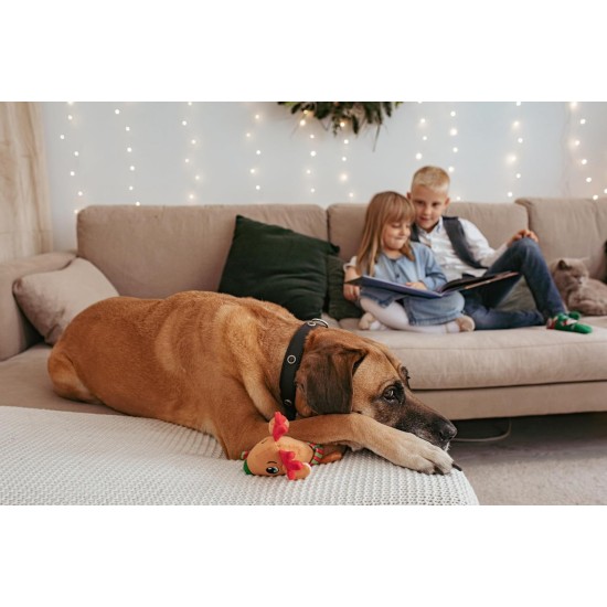 Dingo Plush Dog Toy Reinanimal ALFI 20 cm Gift for a Dog Christmas Toy with a Squeaker Game with Dog 17472 Dingo Plush Dog Toy Reinanimal ALFI 20 cm Gift for a Dog Christmas Toy with a Squeaker Game with Dog 17472