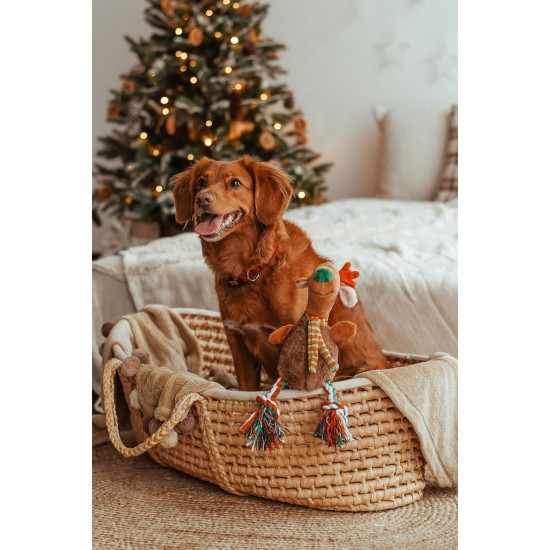 Dingo Plush Dog Toy Reinanimal ALFI 20 cm Gift for a Dog Christmas Toy with a Squeaker Game with Dog 17472 Dingo Plush Dog Toy Reinanimal ALFI 20 cm Gift for a Dog Christmas Toy with a Squeaker Game with Dog 17472