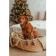 Dingo Plush Dog Toy Reinanimal ALFI 20 cm Gift for a Dog Christmas Toy with a Squeaker Game with Dog 17472 Dingo Plush Dog Toy Reinanimal ALFI 20 cm Gift for a Dog Christmas Toy with a Squeaker Game with Dog 17472