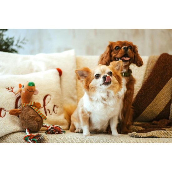 Dingo Plush Dog Toy Reinanimal ALFI 20 cm Gift for a Dog Christmas Toy with a Squeaker Game with Dog 17472 Dingo Plush Dog Toy Reinanimal ALFI 20 cm Gift for a Dog Christmas Toy with a Squeaker Game with Dog 17472