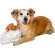 Dingo Waldemar Rutkowski Plush Dog Toy Birthday Cake with Bear and Party Hat with Squeakers Inside (Z30045) Dingo Waldemar Rutkowski Plush Dog Toy Birthday Cake with Bear and Party Hat with Squeakers Inside (Z30045)