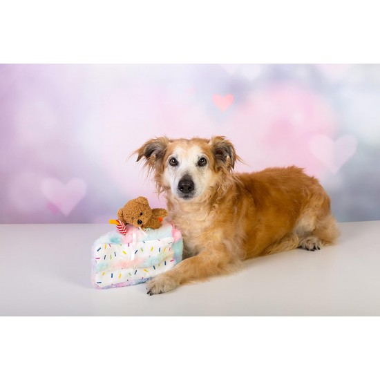 Dingo Waldemar Rutkowski Plush Dog Toy Birthday Cake with Bear and Party Hat with Squeakers Inside (Z30045) Dingo Waldemar Rutkowski Plush Dog Toy Birthday Cake with Bear and Party Hat with Squeakers Inside (Z30045)