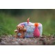 Dingo Waldemar Rutkowski Plush Dog Toy Birthday Cake with Bear and Party Hat with Squeakers Inside (Z30045) Dingo Waldemar Rutkowski Plush Dog Toy Birthday Cake with Bear and Party Hat with Squeakers Inside (Z30045)