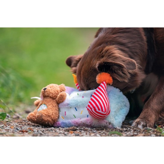 Dingo Waldemar Rutkowski Plush Dog Toy Birthday Cake with Bear and Party Hat with Squeakers Inside (Z30045) Dingo Waldemar Rutkowski Plush Dog Toy Birthday Cake with Bear and Party Hat with Squeakers Inside (Z30045)