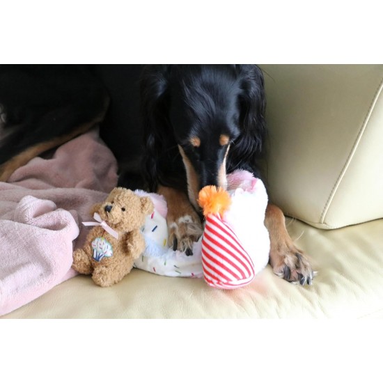 Dingo Waldemar Rutkowski Plush Dog Toy Birthday Cake with Bear and Party Hat with Squeakers Inside (Z30045) Dingo Waldemar Rutkowski Plush Dog Toy Birthday Cake with Bear and Party Hat with Squeakers Inside (Z30045)