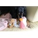 Dingo Waldemar Rutkowski Plush Dog Toy Birthday Cake with Bear and Party Hat with Squeakers Inside (Z30045) Dingo Waldemar Rutkowski Plush Dog Toy Birthday Cake with Bear and Party Hat with Squeakers Inside (Z30045)