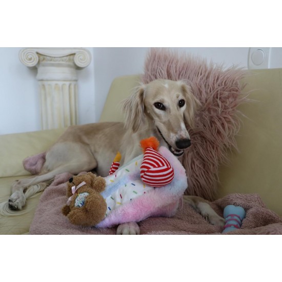 Dingo Waldemar Rutkowski Plush Dog Toy Birthday Cake with Bear and Party Hat with Squeakers Inside (Z30045) Dingo Waldemar Rutkowski Plush Dog Toy Birthday Cake with Bear and Party Hat with Squeakers Inside (Z30045)