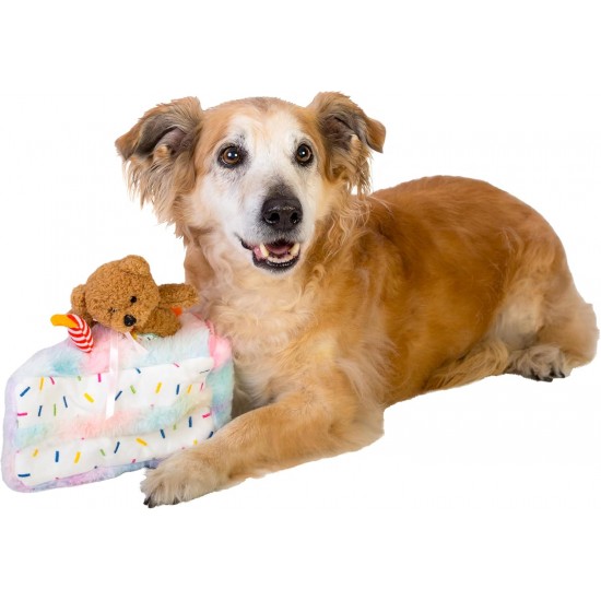 Dingo Waldemar Rutkowski Plush Dog Toy Birthday Cake with Bear and Party Hat with Squeakers Inside (Z30045) Dingo Waldemar Rutkowski Plush Dog Toy Birthday Cake with Bear and Party Hat with Squeakers Inside (Z30045)