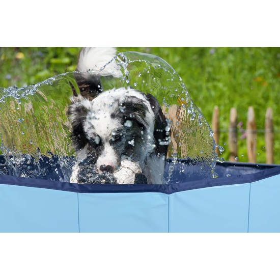 Dog Pool - 160 x 30 cm - Large Dog Breeds - Foldable - Non-Slip Base - with Drain Valve - Blue Dog Pool - 160 x 30 cm - Large Dog Breeds - Foldable - Non-Slip Base - with Drain Valve - Blue