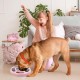 Dog Puzzle Toy - Slow Feeder - Interactive Training Toy Box - Creative Dog Smart Beginner, Improve the IQ of the Dog, Non-Slip Slow Feeder for Puppies Dogs Boredom (Pink) Dog Puzzle Toy - Slow Feeder - Interactive Training Toy Box - Creative Dog Smart Beginner, Improve the IQ of the Dog, Non-Slip Slow Feeder for Puppies Dogs Boredom (Pink)