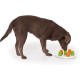 Dog Sniffer Interactive Food Dispensing Toy Dog Sniffer Interactive Food Dispensing Toy