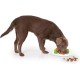 Dog Sniffer Interactive Food Dispensing Toy Dog Sniffer Interactive Food Dispensing Toy