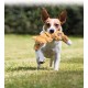 Dog toy "Knots" by Kong, soft, cuddly, durable, without filling, robust, S/M Dog toy "Knots" by Kong, soft, cuddly, durable, without filling, robust, S/M