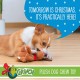 Dr. Seuss for Pets The Grinch Max Santa Figure Plush Squeaky Dog Toy, The Grinch Plush Dog Toy from Dr Seuss Collection, Large Christmas Dog Toy for Holidays, 9 Inch