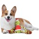 Dr. Seuss for Pets The Grinch Max Santa Figure Plush Squeaky Dog Toy, The Grinch Plush Dog Toy from Dr Seuss Collection, Large Christmas Dog Toy for Holidays, 9 Inch