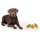 EDUPET Dog Sniffer Interactive Food Dispensing Toy EDUPET Dog Sniffer Interactive Food Dispensing Toy