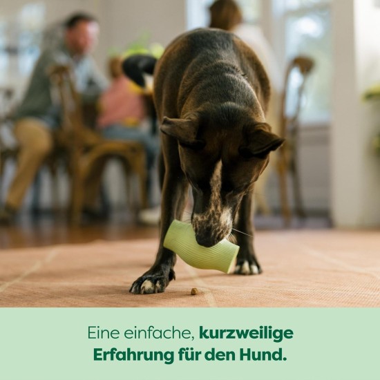 Earth Rated Dog Treat Holder, Enriching Toy for Adult Dogs and Puppies, Dishwasher and Freezer Safe, Natural Rubber, Large, Green Earth Rated Dog Treat Holder, Enriching Toy for Adult Dogs and Puppies, Dishwasher and Freezer Safe, Natural Rubber, Large, Green
