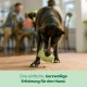 Earth Rated Dog Treat Holder, Enriching Toy for Adult Dogs and Puppies, Dishwasher and Freezer Safe, Natural Rubber, Large, Green Earth Rated Dog Treat Holder, Enriching Toy for Adult Dogs and Puppies, Dishwasher and Freezer Safe, Natural Rubber, Large, Green