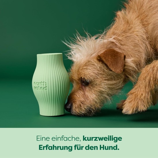Earth Rated Dog Treat Holder, Enriching Toy for Adult Dogs and Puppies, Dishwasher and Freezer Safe, Natural Rubber, Large, Green Earth Rated Dog Treat Holder, Enriching Toy for Adult Dogs and Puppies, Dishwasher and Freezer Safe, Natural Rubber, Large, Green