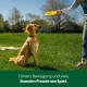Earth Rated Flying Ring, An Interactive Frisbee for Adult Dogs and Puppies, Does Not Sink in Water, Large, Yellow Earth Rated Flying Ring, An Interactive Frisbee for Adult Dogs and Puppies, Does Not Sink in Water, Large, Yellow