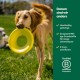 Earth Rated Flying Ring, An Interactive Frisbee for Adult Dogs and Puppies, Does Not Sink in Water, Large, Yellow Earth Rated Flying Ring, An Interactive Frisbee for Adult Dogs and Puppies, Does Not Sink in Water, Large, Yellow