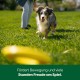 Earth Rated Flying Ring, An Interactive Frisbee for Adult Dogs and Puppies, Does Not Sink in Water, Large, Yellow Earth Rated Flying Ring, An Interactive Frisbee for Adult Dogs and Puppies, Does Not Sink in Water, Large, Yellow