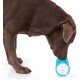 Edupet Amigo Dog-n-Roll 3-in-1 Interactive Food Dispensing Toy for Dogs, 17.5 cm Edupet Amigo Dog-n-Roll 3-in-1 Interactive Food Dispensing Toy for Dogs, 17.5 cm