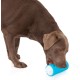 Edupet Amigo Dog-n-Roll Interactive Food Dispensing Toy for Dogs, 17.5 cm Edupet Amigo Dog-n-Roll Interactive Food Dispensing Toy for Dogs, 17.5 cm